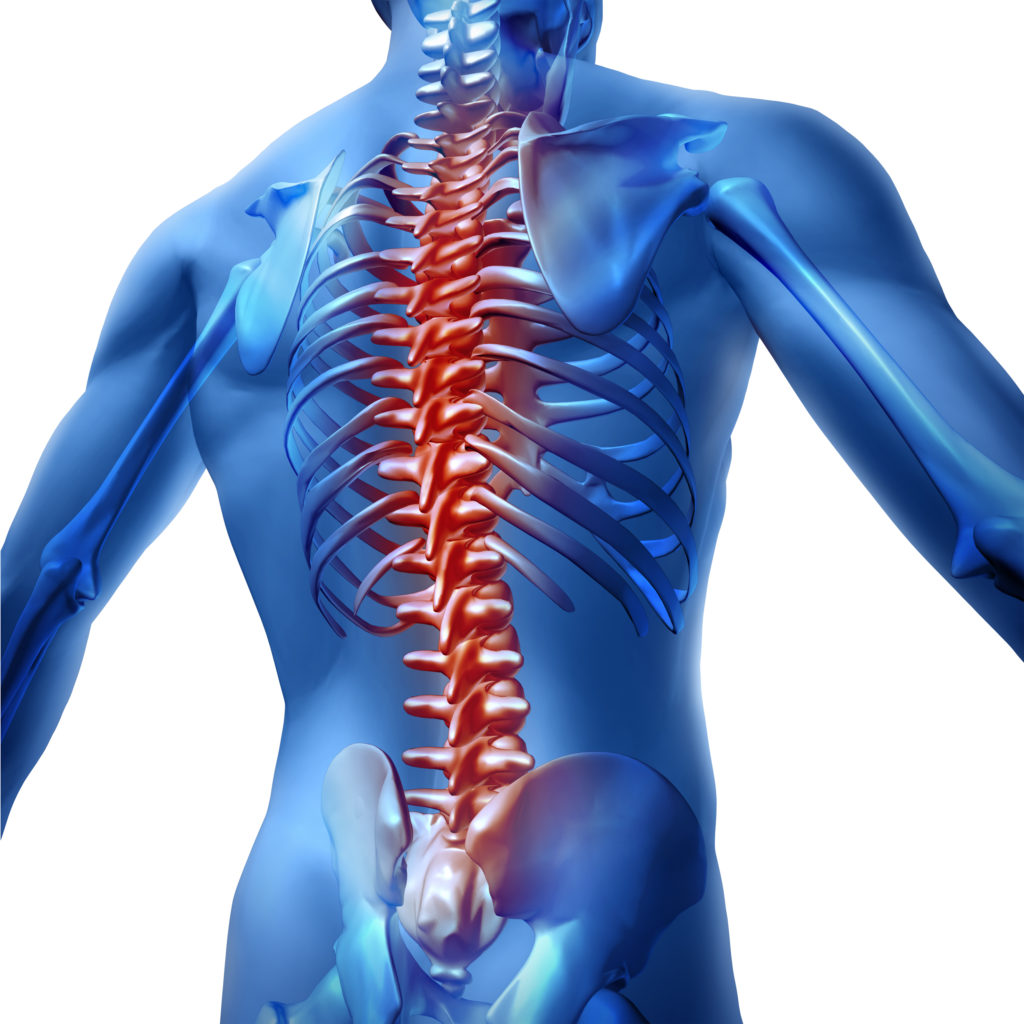 Georgia spine injury attorney